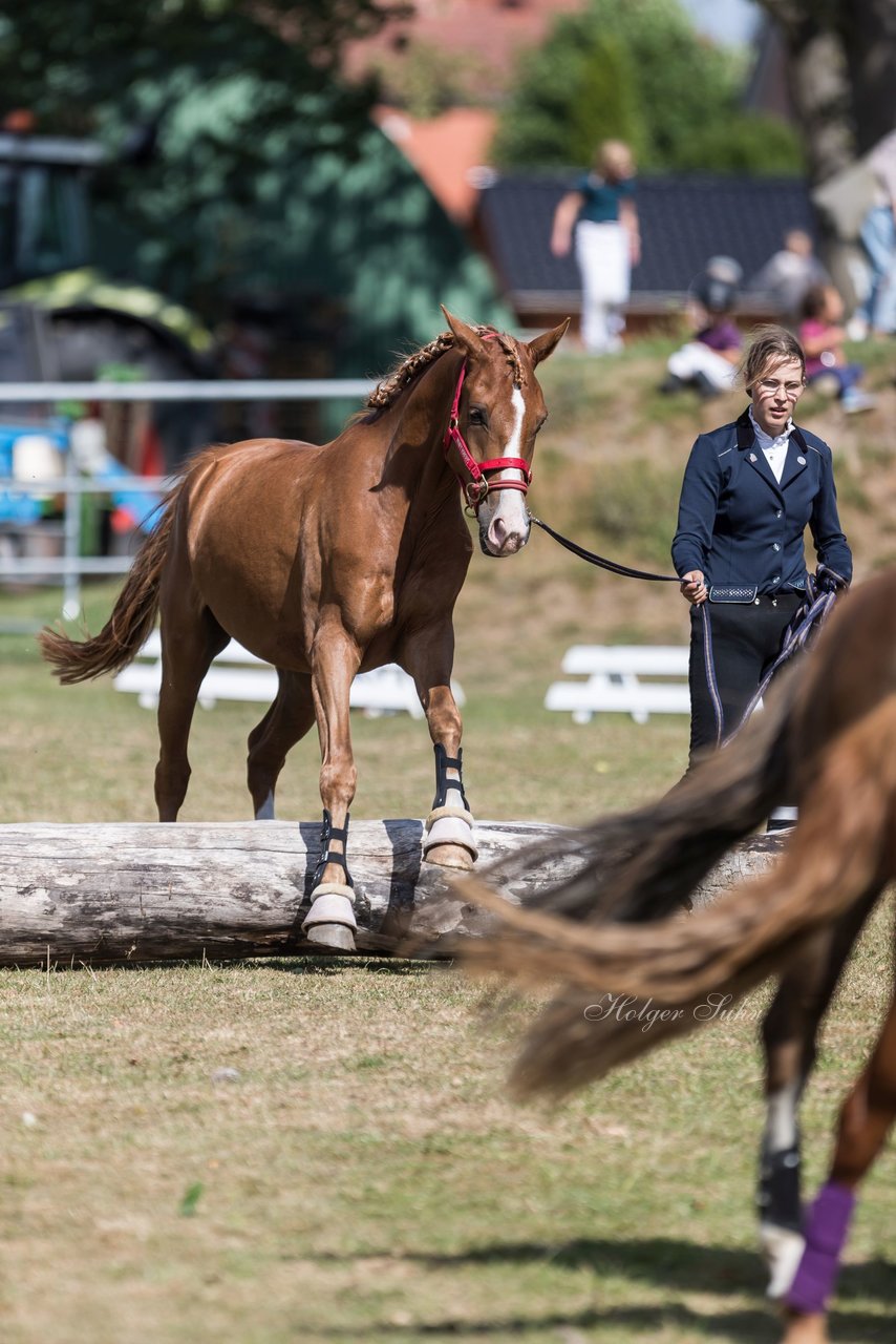 Bild 47 - Pony Akademie Turnier